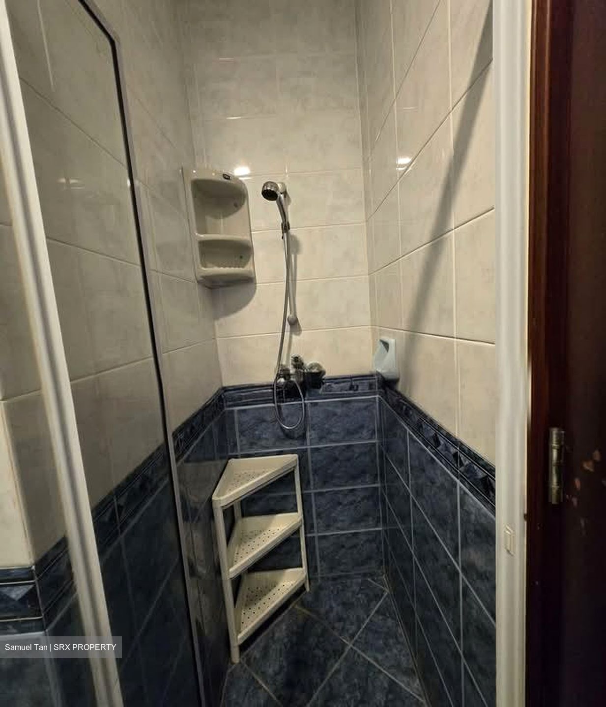 Tanglin Regency (D10), Condominium #574201881